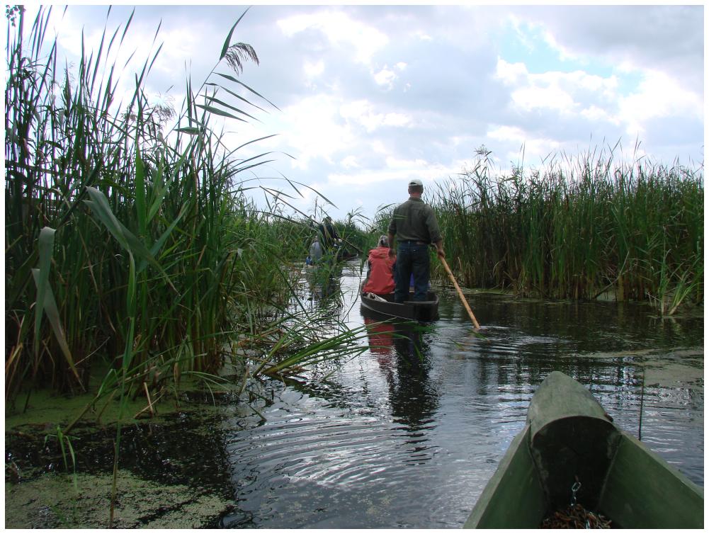 Polska amazonia